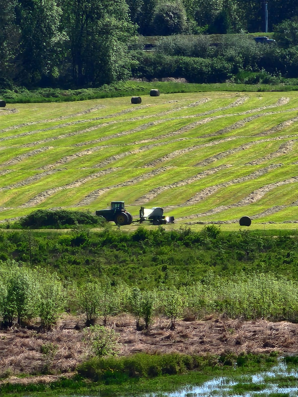 20 LB Premium Pastured Beef Sampler Box