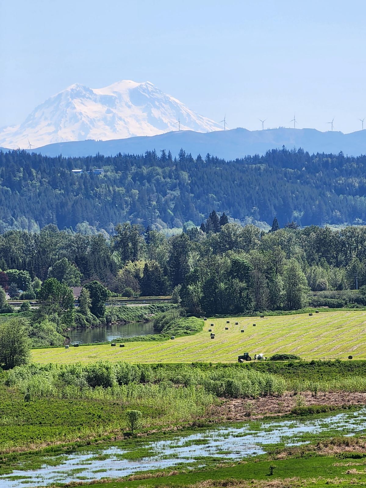 20 LB Premium Pastured Beef Sampler Box