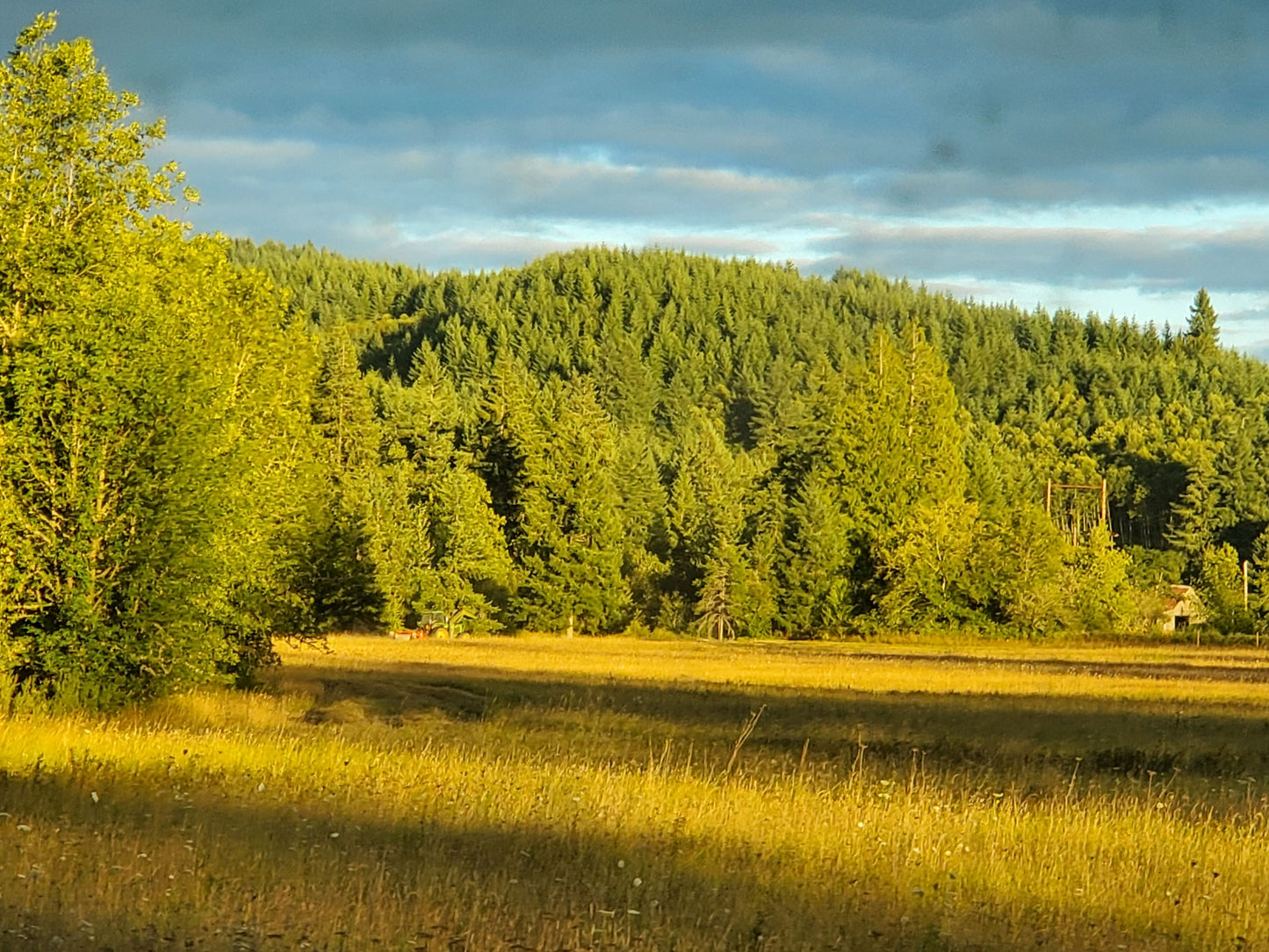 20 LB Premium Pastured Beef Sampler Box