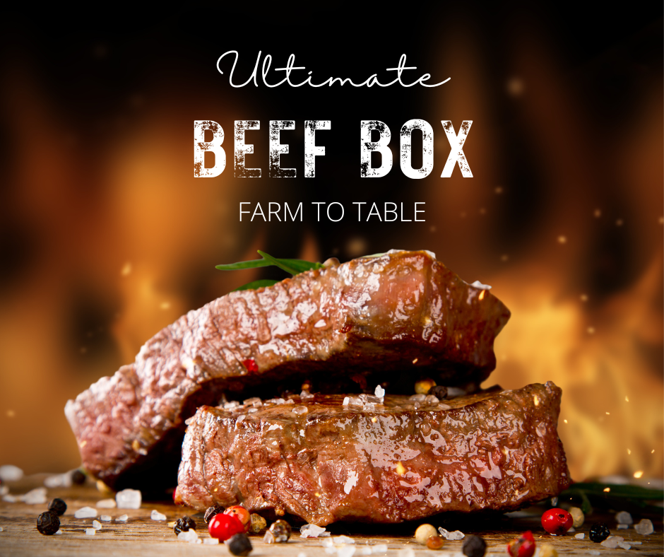Perfectly Pastured Beef- Lock 2025 Prices for 2026 Beef!